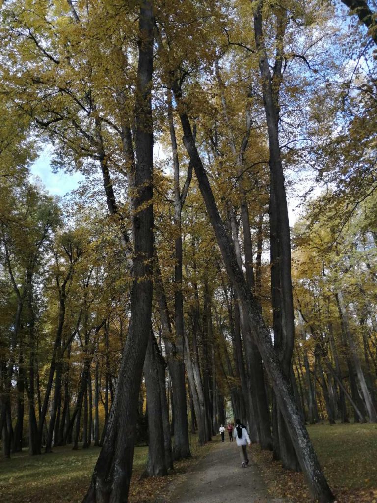 Поездка в Музей-заповедник И.С. Тургенева «Спасское — Лутовиново». —  Инжиниринговый колледж